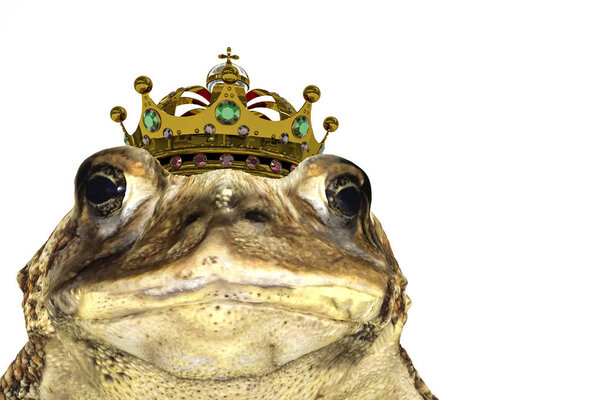 toad with crown isolated on white