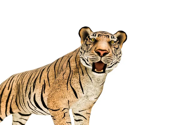 Тигр изолирован на белом фоне — стоковое фото
