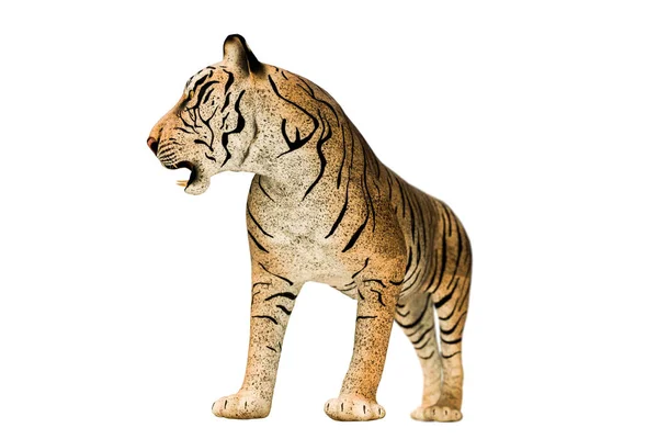 Tiger isolated on white background — Stock Photo, Image