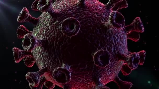 Movimientos pulsantes del coronavirus sobre un fondo negro. Looped vídeo de alta calidad. — Vídeos de Stock