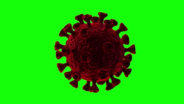 Movimientos pulsantes del coronavirus de cerca sobre un fondo verde. Vídeo en bucle — Vídeo de stock