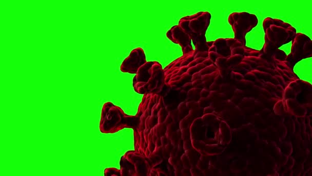 Movimientos pulsantes del coronavirus de cerca sobre un fondo verde. Vídeo en bucle — Vídeos de Stock