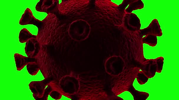 Pulsating movements of the coronavirus close-up on a green background. Looped video — Stock Video