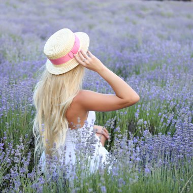 Lavanta yaz havasında