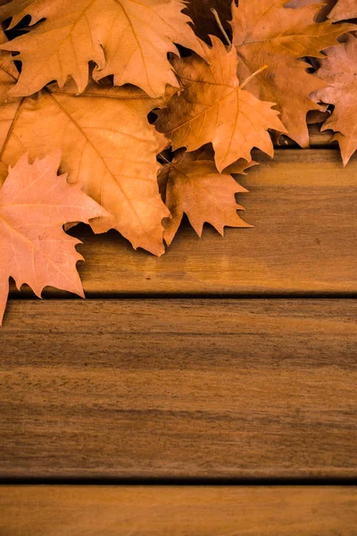 Suchych Liści Jesienią Powierzchni Drewnianych — Zdjęcie stockowe