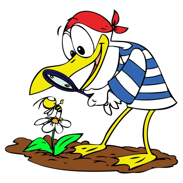 Cartoon Mouette Faire Une Recherche Avec Aide Son Ami Abeille — Image vectorielle