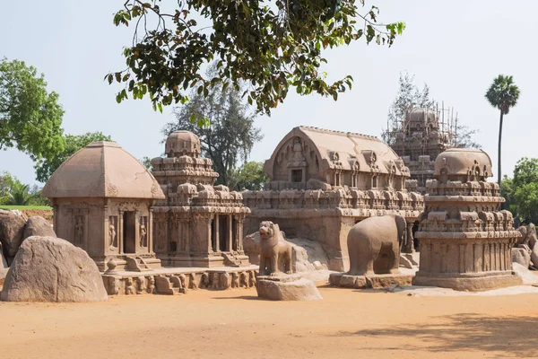 Les Cinq Rathas Chars Pour Les Dieux Mamallapuram Tous Sculptés — Photo