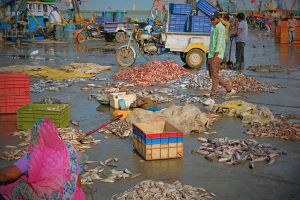 Gujarat Inde Novembre 2016 Scène Occupée Sur Quai Port Vanakbara — Photo