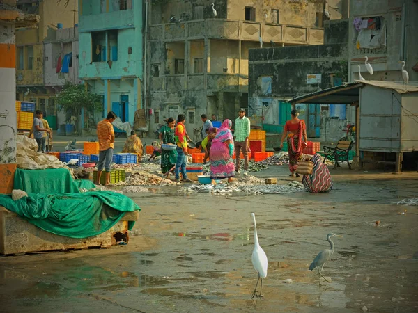 グジャラート インド 2016年11月3日 地元の艦隊による魚の上陸に続いて ディウ島のバナバラ港の岸壁の忙しいシーン アラビア海の漁業は 島の経済の主力の一つです ストック画像