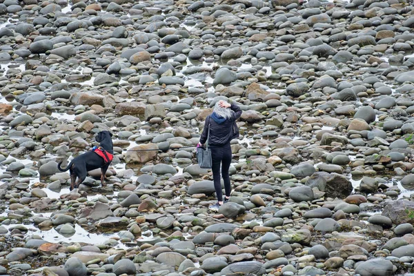 Westward England März 2019 Unbekannte Frau Übt Mit Hund Kiesstrand — Stockfoto