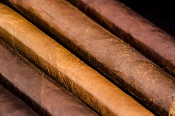 Handcrafted cigar made of tobacco leafs