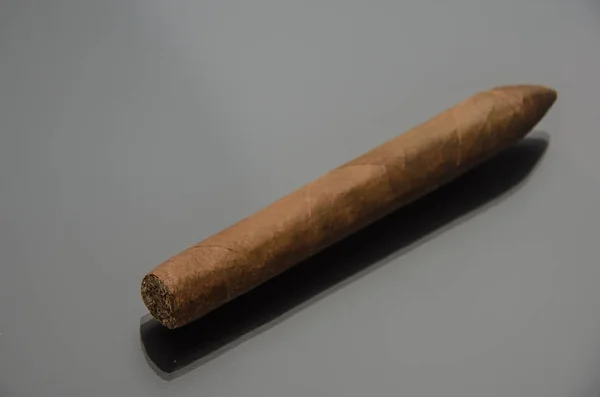 Sigaro Artigianale Base Foglie Tabacco — Foto Stock