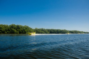 Orman Tur Cancun mangroves bir hız teknede
