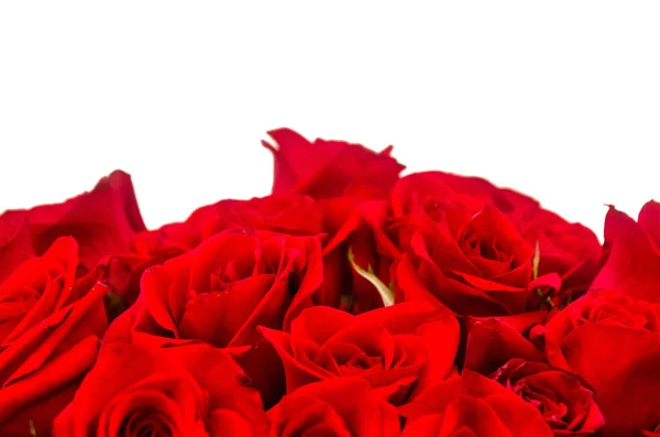 Picture Bouquet Red Roses White Background Royalty Free Stock Photos