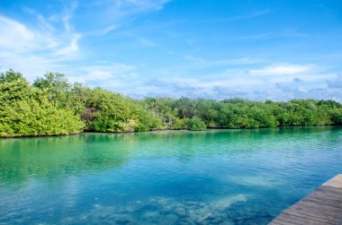 Ria Nizuc, Cancun Meksika içinde bulunan