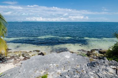 Meksika Karayipler kayalık plaj