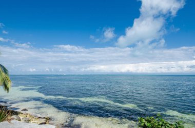 Meksika Karayipler kayalık plaj