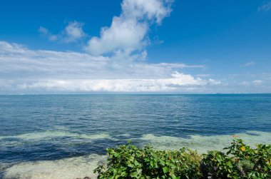 Meksika Karayipler kayalık plaj