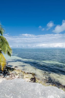 Meksika Karayipler kayalık plaj