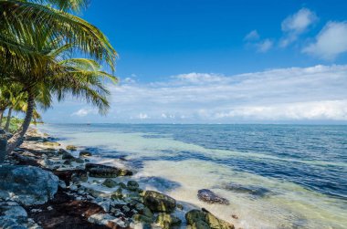 Meksika Karayipler kayalık plaj