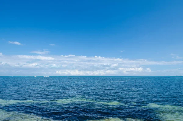 Ocean adlı Meksikalı Caribbean