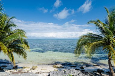 Meksika Karayipler kayalık plaj