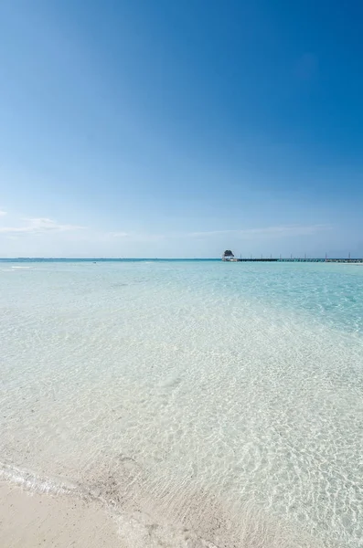 stock image Exotic beach of transparent waters in Punta Norte, Isla Mujeres