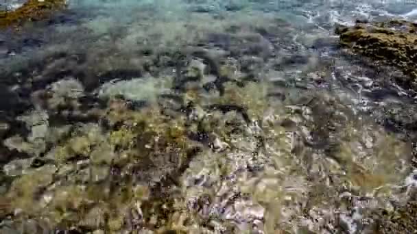 Vista Cerca Costa Rocosa Isla Mujeres — Vídeos de Stock