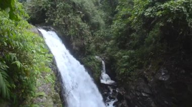 Kosta Rika'daki Şelaleler