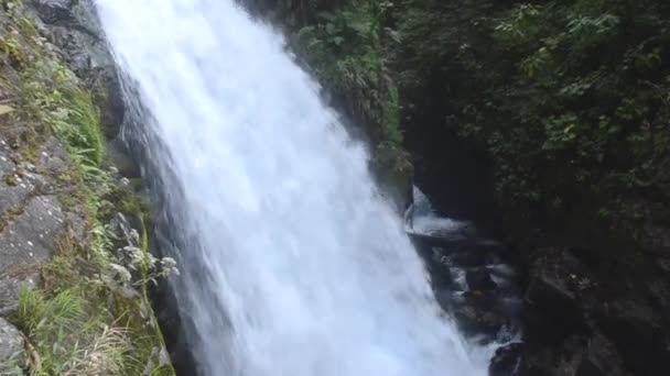 Водопады Коста Рики — стоковое видео