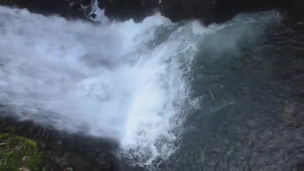 Cachoeiras Costa Rica — Vídeo de Stock
