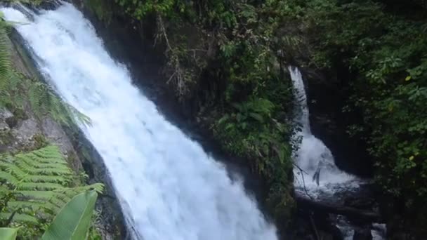 Wasserfälle Costa Rica — Stockvideo