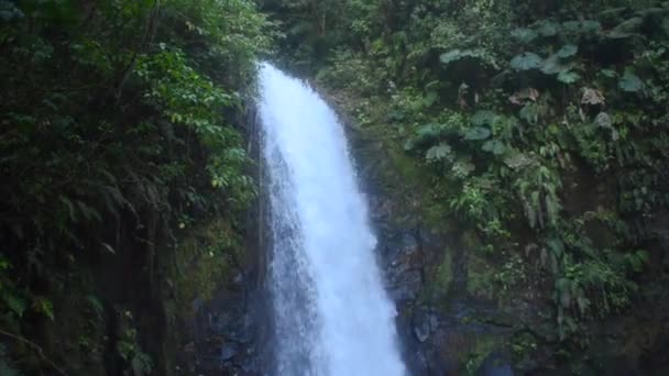 哥斯达黎加的瀑布 — 图库视频影像