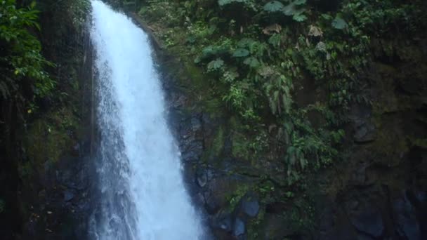 Wasserfälle Costa Rica — Stockvideo