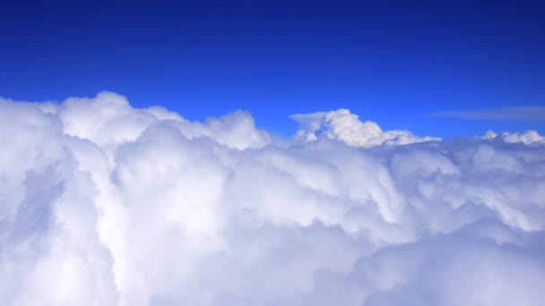 哥斯达黎加的云海 — 图库视频影像