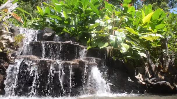 Cascada Selva Tropical Costa Rica — Vídeos de Stock