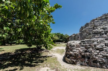Cancun, Meksika'da El Rey Antik Kalıntıları
