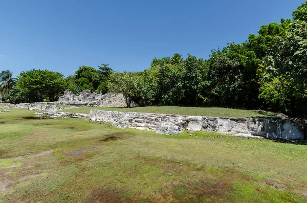 Cancun, Meksika'da El Rey Antik Kalıntıları — Stok fotoğraf