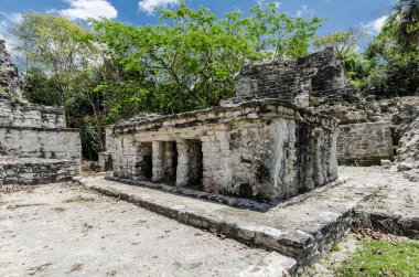 Quintana Roo, Meksika'daki Muyil arkeolojik alanı