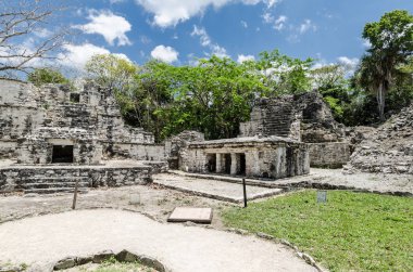 Quintana Roo, Meksika'daki Muyil arkeolojik alanı