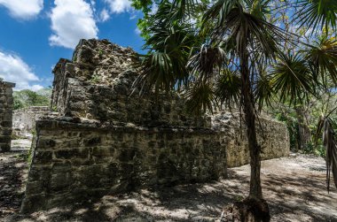 Quintana Roo, Meksika'daki Muyil arkeolojik alanı