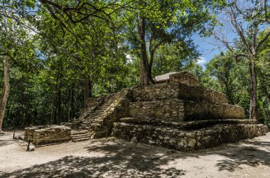 Quintana Roo, Meksika'daki Muyil arkeolojik alanı