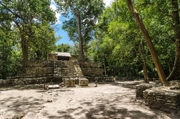 Археологические раскопки в Кинтана-Ру, Мексика — стоковое фото