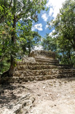 Quintana Roo, Meksika'daki Muyil arkeolojik alanı