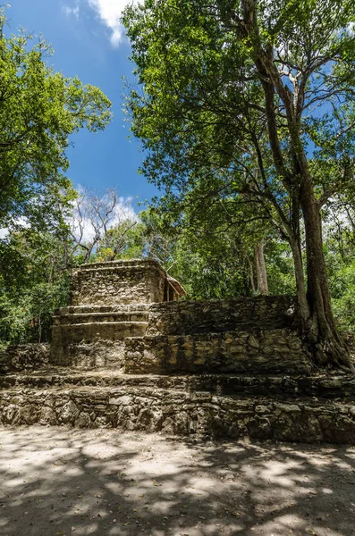 Quintana Roo, Meksika'daki Muyil arkeolojik alanı — Stok fotoğraf