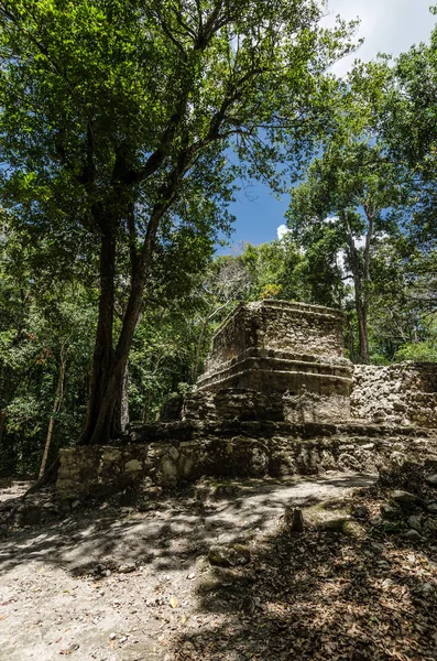 Muyil sítio arqueológico em Quintana Roo, México — Fotografia de Stock