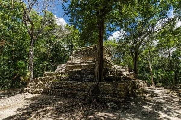 Muyil sítio arqueológico em Quintana Roo, México — Fotografia de Stock