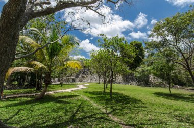 Quintana Roo, Meksika'daki Muyil arkeolojik alanı