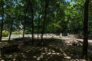 San Miguelito Arkeoloji Sitesi, Cancun, Meksika