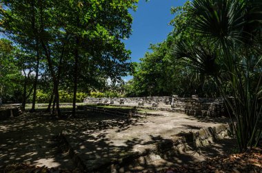 San Miguelito Arkeoloji Sitesi, Cancun, Meksika